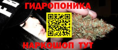 дурь Заволжье