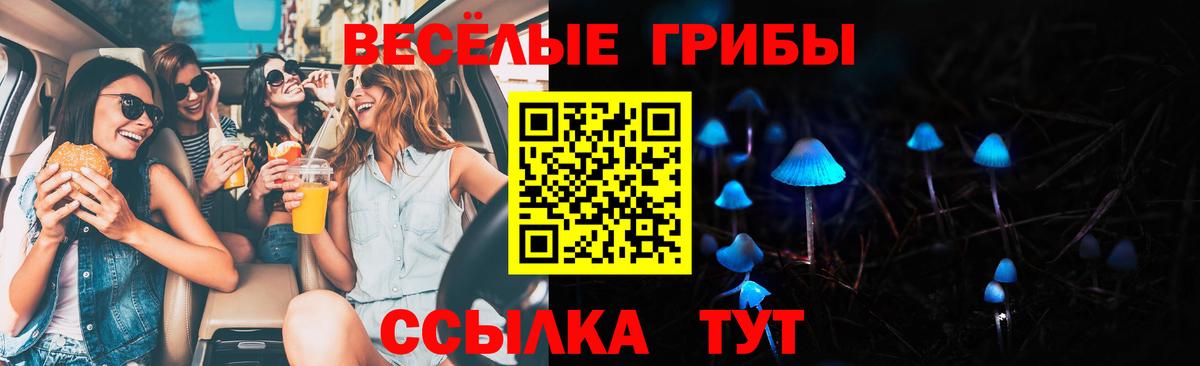 Галлюциногенные грибы MAGIC MUSHROOMS  Вход с VPN  Вологда  Псилоцибиновые грибы ЛСД 